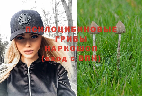 не бодяженный Кукмор