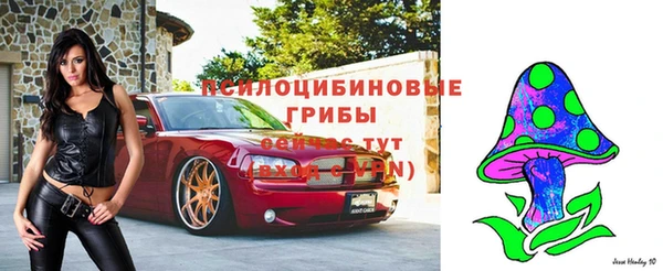 не бодяженный Кукмор