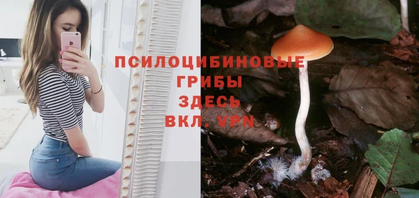 не бодяженный Кукмор