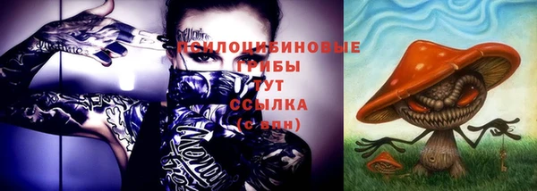 не бодяженный Кукмор