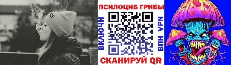 Купить где  Бузулук  Галлюциногенные грибы GOLDEN TEACHER 